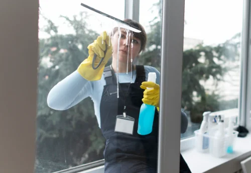 Nettoyage de vitres intérieures et extérieures à Luneray